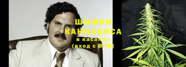 шишки Гвардейск