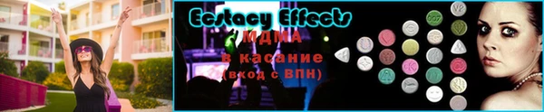 молекула духа Галич