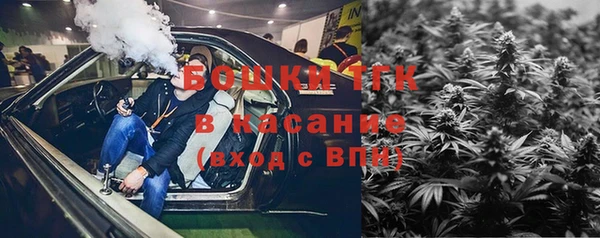 дживик Арсеньев